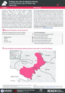 Profilage des sites de déplacés internes dans la commune de Gotheye, région de Tillabéri, Niger – Octobre 2020