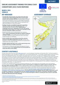 IMPACT Somalia Top Up Endline Assessment Factsheet March 2024