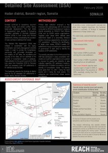 Detailed Site Assessment, Hodan - February 2020