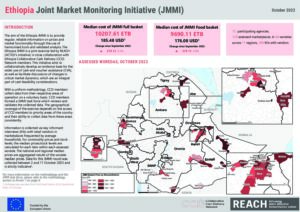 REACH Ethiopia Joint Market Monitoring Initiative (2023-10-02 - 2023-10-11)