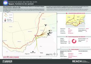 REACH_NER_Factsheet_Displacement Site Ngagam_Juin2016
