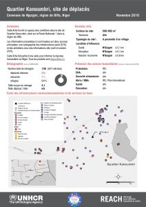 NER_Factsheet_Displacement Site Quartier Kanoumbri_Novembre2016