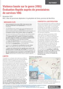 REACH RDC Analyse Rapide - Prestataires de services VBG sur les sites de déplacés GOMA - Novembre 2023