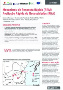 REACH Moçambique RRM Avaliação Rápida de Necessidades Factsheet- Muengue, Mocimboa da Praia (12/11/24)