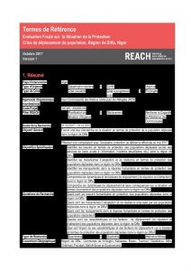 NER_Termes de référence_Evaluation protection finale_Octobre 2017