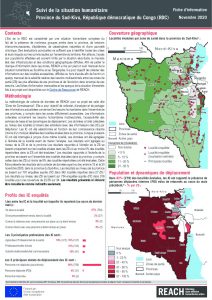 Suivi de la situation humanitaire au Sud Kivu, novembre 2020