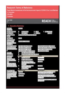 Colombia COVID-19 Rapid Market Assessment- Research ToR (English version, April 2020)