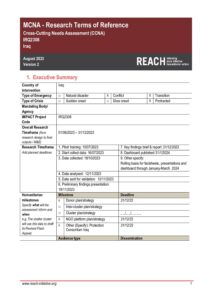 REACH Iraq Cross-Cutting Needs Assessment (2023)
