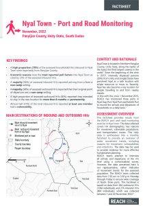 REACH SSD PRM Factsheet Nyal Town November 2022