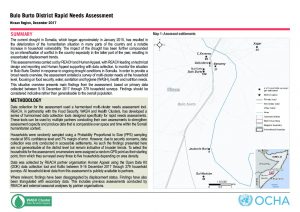 SOM_Situation Overview_Bulo Burto Rapid Needs Assessment_December 2017