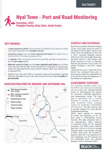 REACH SSD PRM Factsheet Nyal Town December 2022