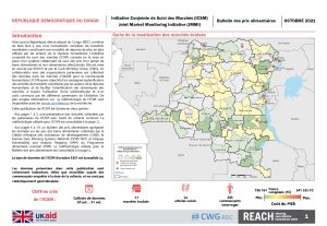 REACH RDC ICSM Factsheet Octobre 2021