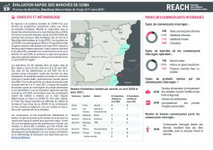 Fiche d’information de l’évaluation rapide des marchés, Goma, République Démocratique du Congo (RDC) – Mars 2021