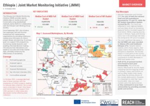 REACH Ethiopia - Joint Market Monitoring Initiative (2025-10-06 - 2025-10-16)