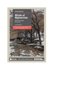 Whole of Afghanistan Assessment 2020 Final Report