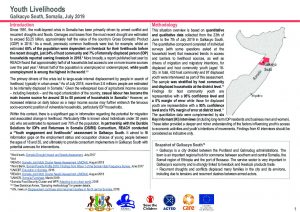 DSIRS Youth livelihoods assessment in Galkacyo South, Somalia - July 2019