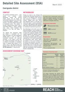 REACH SOM Factsheet DSA Ceerigaabo March 2021