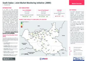 SSD-JMMI_Factsheet_November_2023