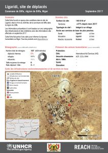 NER_Factsheet_Profil Site de Déplacés de Ligaridi_Septembre 2017
