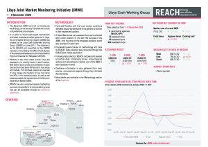 Libya Joint Market Monitoring Initiative, Situation overview, December 2020