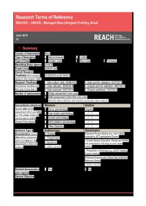 REACH_BRA_ToR_SiteProfiles_June2018