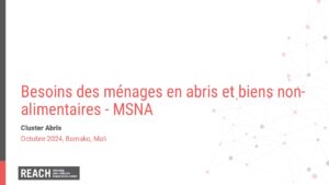 REACH Mali MSNA Présentation Sectorielle ABNA