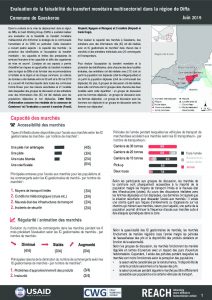 NER_Factsheet_Evaluation Cash Gueskerou_Juillet 2019