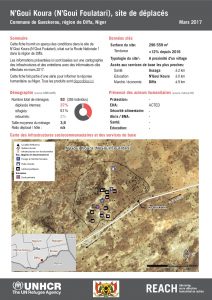 NER_HCR_Factsheet_Profil Site de Déplacés_Commune de Gueskerou_N'Goui Koura_Mars 2017.pdf