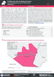 Profilage des sites de déplacés internes dans la commune de Makalondi, région de Tillabéri, Niger – Octobre 2020