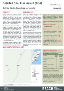 DSA III Factsheet Burtinle - February 2020