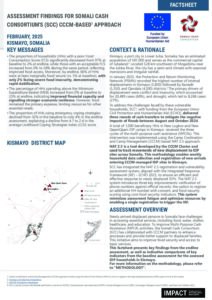 IMPACT Somalia Baseline&Endline Assessment Findings CCCM Based Approach (February 2025)