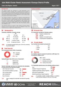 SOM_Factsheet_JMCNA Kismayo District_August 2017