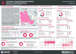 Akobo Port and Road Monitoring Factsheet, South Sudan, December 2020