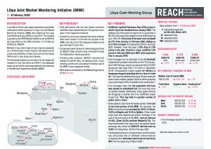 Joint Market Monitoring Initiative (JMMI) Libya, Situation Overview – February 2020