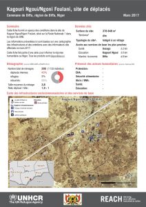 NER_HCR_Factsheet_Profil Site de Déplacés_Commune de Diffa_Kangour Ngoui_Ngoni Foulani_Mars 2017.pdf