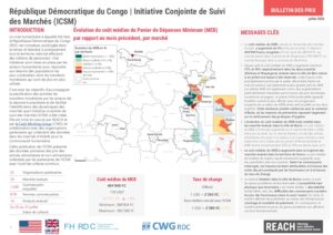 REACH - RDC - ICSM - Factsheet Juillet 2026