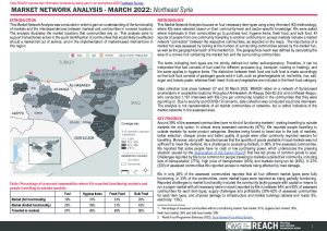 REACH SYR Factsheet MNA NES March 2022
