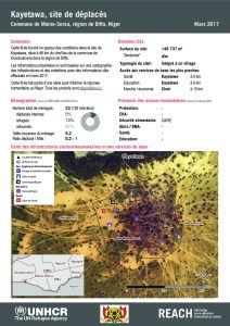 NER_HCR_Factsheet_Profil Site de Déplacés_Commune de Maine-Soroa_Kayetawa_Mars 2017