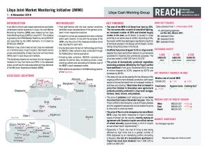 Joint Market Monitoring Initiative, Situation Overview - November 2019