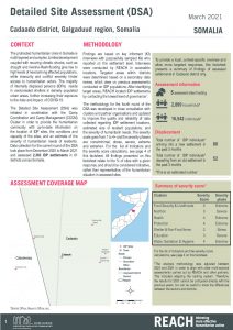 REACH SOM Factsheet DSA Cadaado March 2021