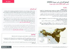 Humanitarian Situation Overview in Northeast Syria – October 2024 (ARA)