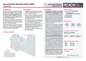 Libya JMMI Situation Overview August 2018