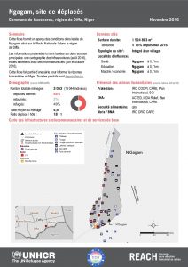 NER_Factsheet_Displacement Site Ngagam_Novembre2016