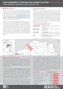 Rapid Assessment on Returns and Durable Solutions (ReDS) Factsheet Zummar, August 2022