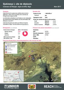 NER_HCR_Factsheet_Profil Site de Déplacés_Commune de N'Guigmi_Djakimeya I_Mars 2017