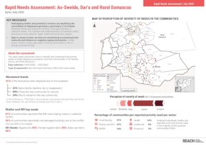 REACH Syria Rapid Needs Assessment, Results (July 2025)