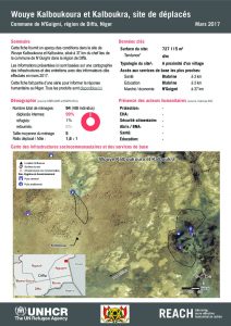NER_HCR_Factsheet_Profil Site de Déplacés_Commune de N'Guigmi_Wouye Kalboukoura et Kalboukra_Mars 2017