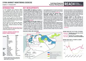 syr_situation_overview_market_monitoring_exercise_nw_january_2019