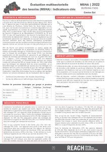 Factsheets MSNA Centre Est