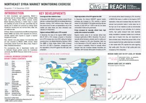 Northeast Syria Market Monitoring Situation Overview, December 2020